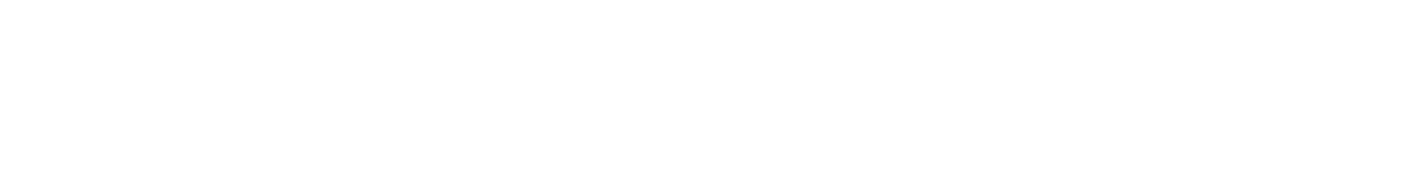 LOGO 25 ANOS